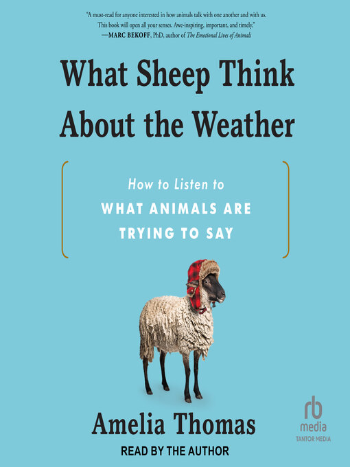 Cover image for What Sheep Think About the Weather